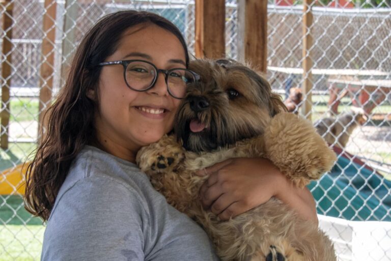 Safe and Fun Dog Daycare in Wheat Ridge, CO BedsNBiscuits