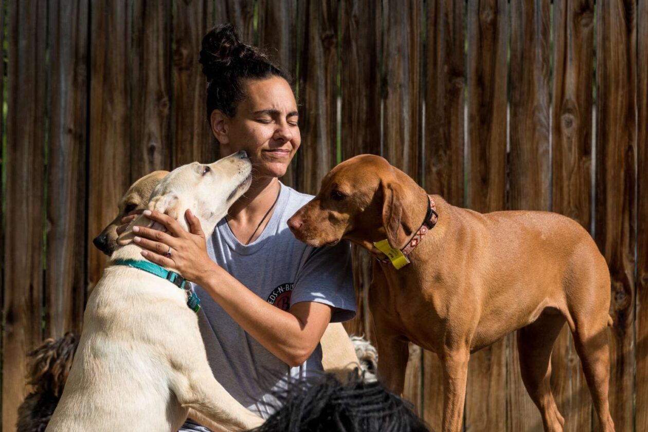 Luxury Dog Boarding in Wheat Ridge, CO BedsNBiscuits