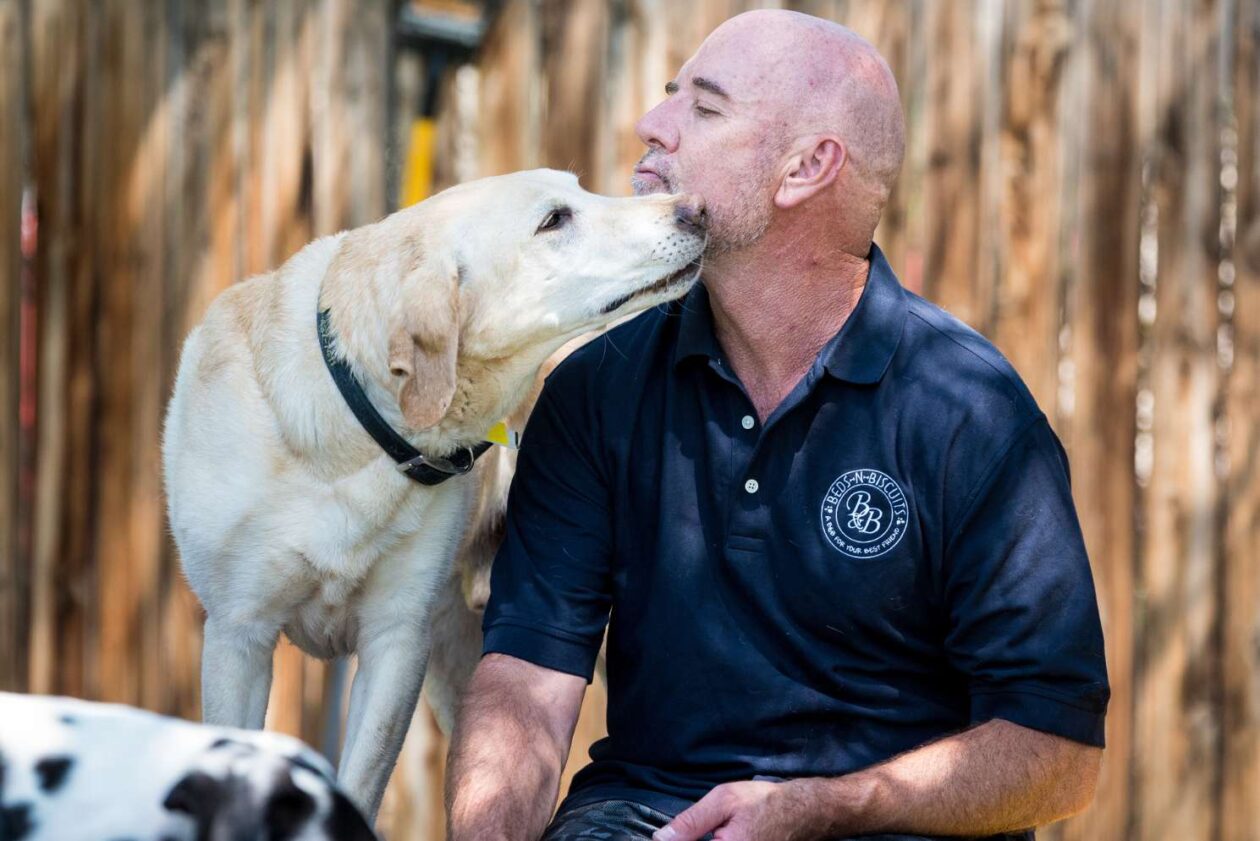 Safe and Fun Dog Daycare in Wheat Ridge, CO BedsNBiscuits