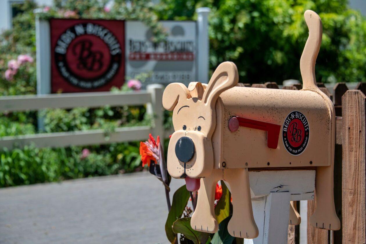 About Us About BedsNBiscuits BedsNBiscuits