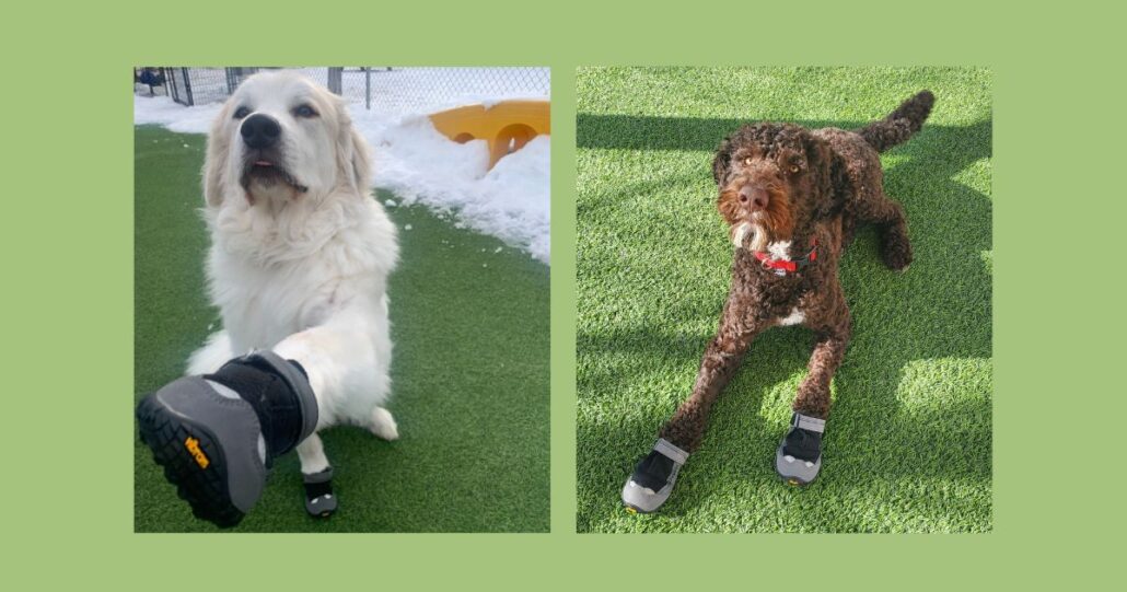 Benefits of Booties A How to Guide BedsNBiscuits