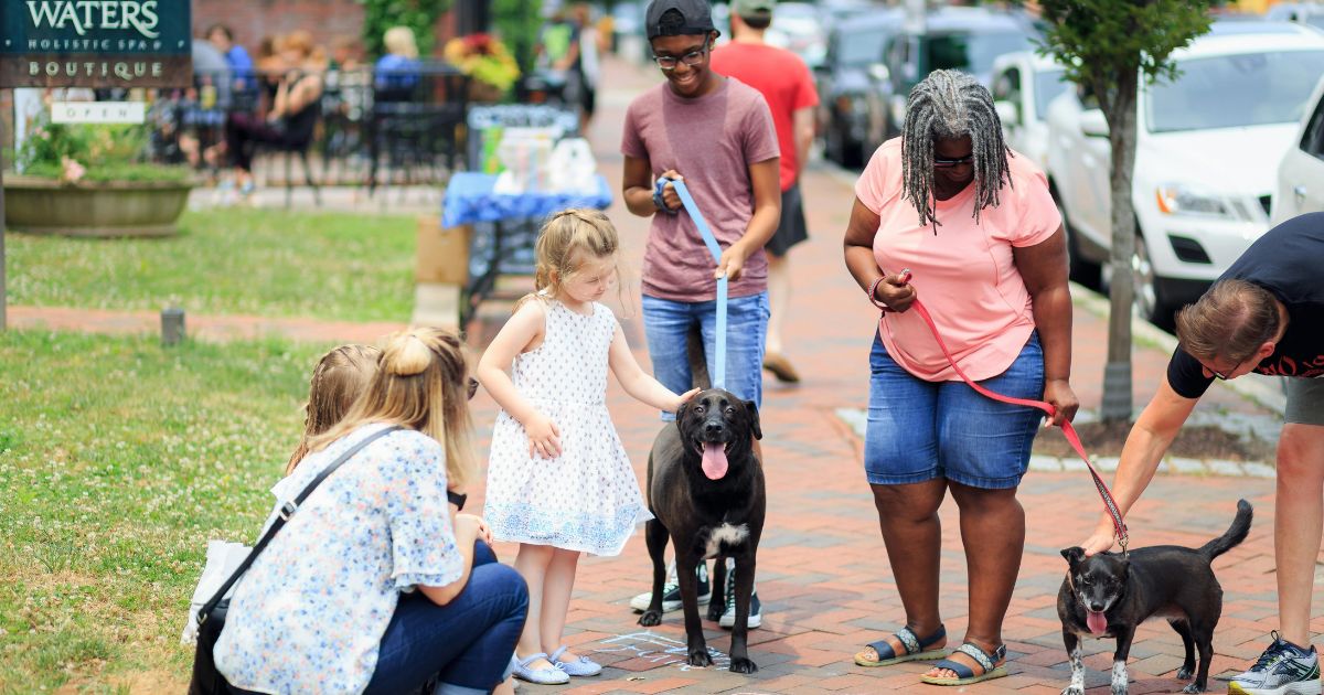 Barking Up the Social Tree: Connecting with Others Through Dogs