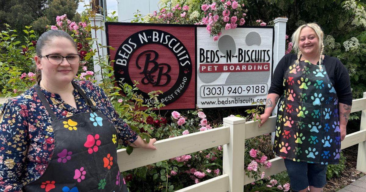 Meet the Groomers Behind BNB’s Most Pampered Pups